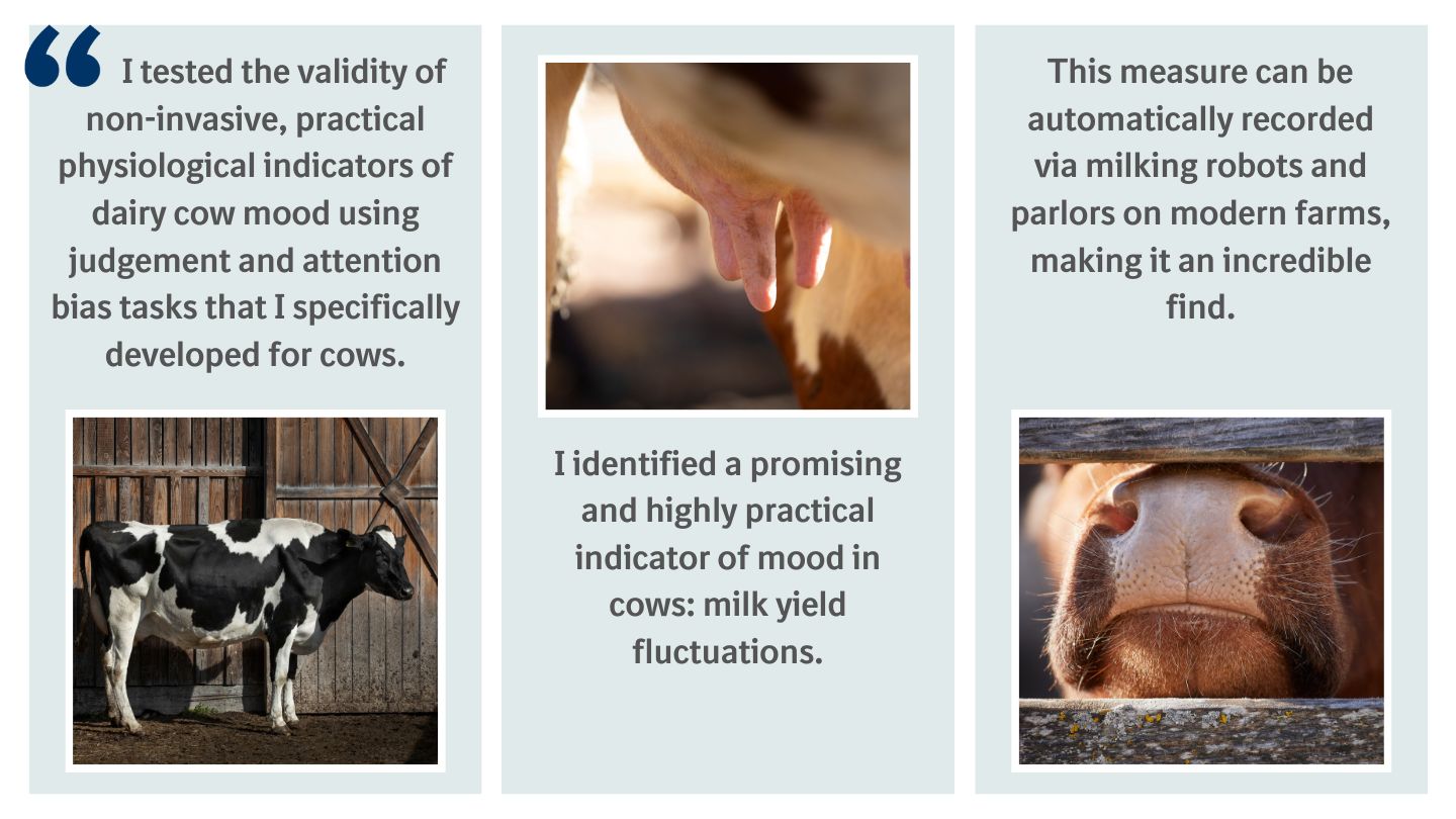 Ruminant researchers awarded for excellence Boehringer Ingelheim